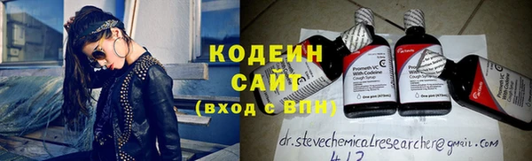 мдпв Гусь-Хрустальный