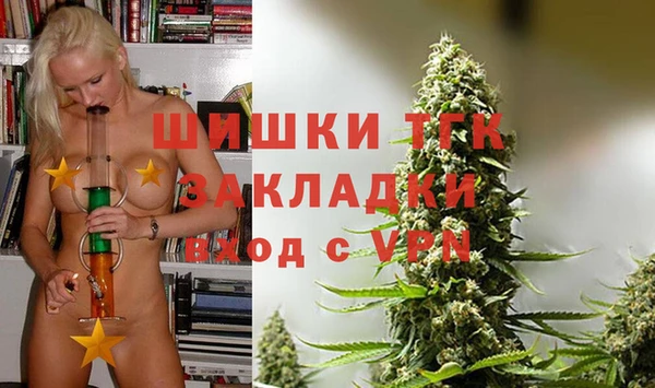 мдпв Гусь-Хрустальный