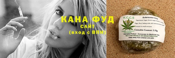 мдпв Гусь-Хрустальный