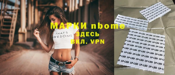мдпв Гусь-Хрустальный