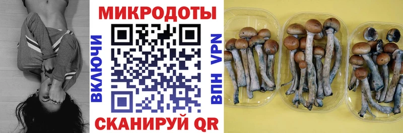 Псилоцибиновые грибы Psilocybe  Купить  Кушва 